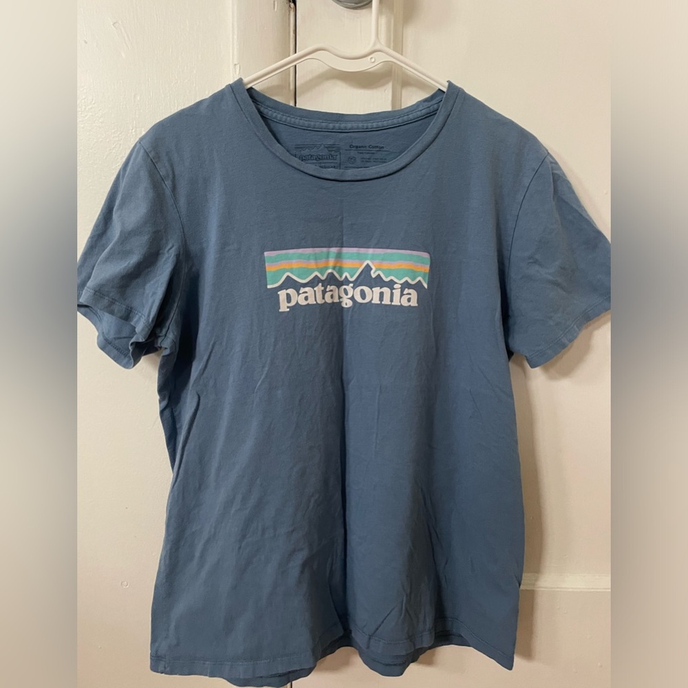 Patagonia P-6 Logo Organic Crew T-shirt